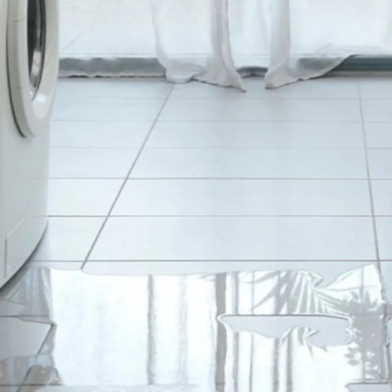 Appliance Leak Cleanup in Flowing Wells, AZ