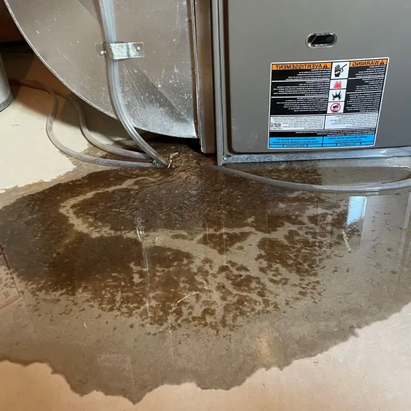 Pipe Burst and Leak Restoration in Flowing Wells, AZ